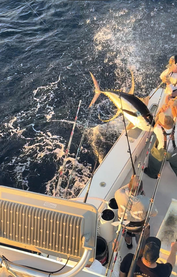 Screenshot Lady EM Design Florida Charters - A large tuna leaps out of the ocean beside a fishing boat, where several people with fishing rods are attempting to reel it in. Sunlight reflects on the water and the boat’s deck.