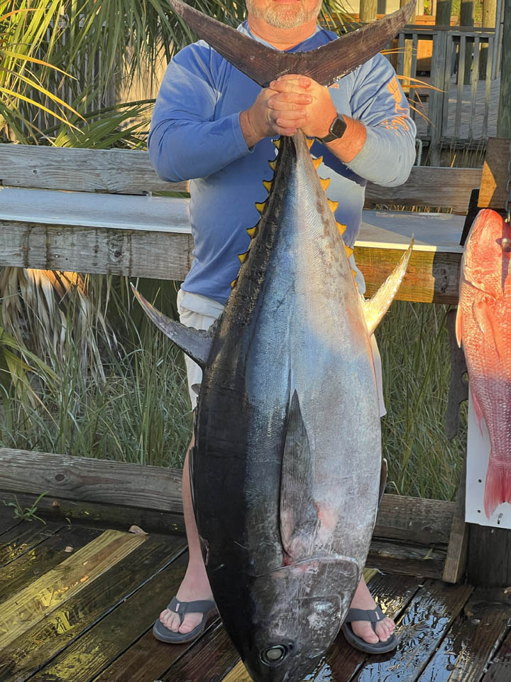 gallery-main-23 A person in a blue shirt and sandals holds up a very large tuna fish vertically, obscuring their face, on a wooden dock with greenery and a red fish hanging nearby.